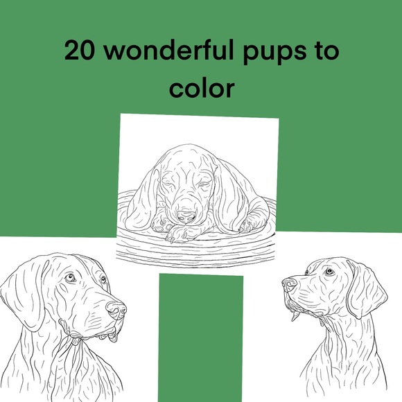 Coloring. Book - Picture 2 of 2